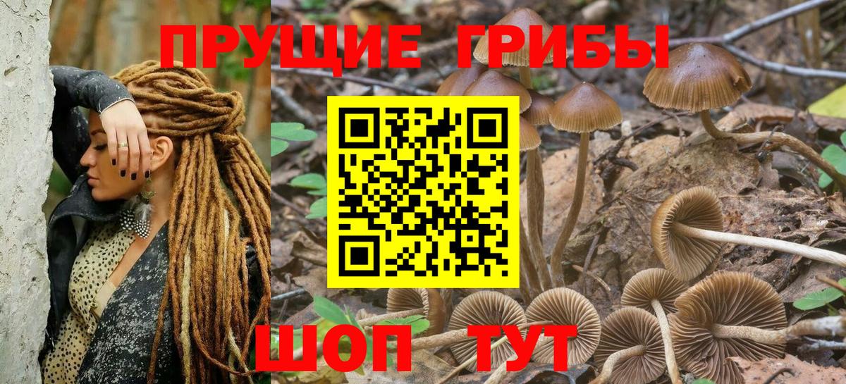 Псилоцибиновые грибы мухоморы Узловая